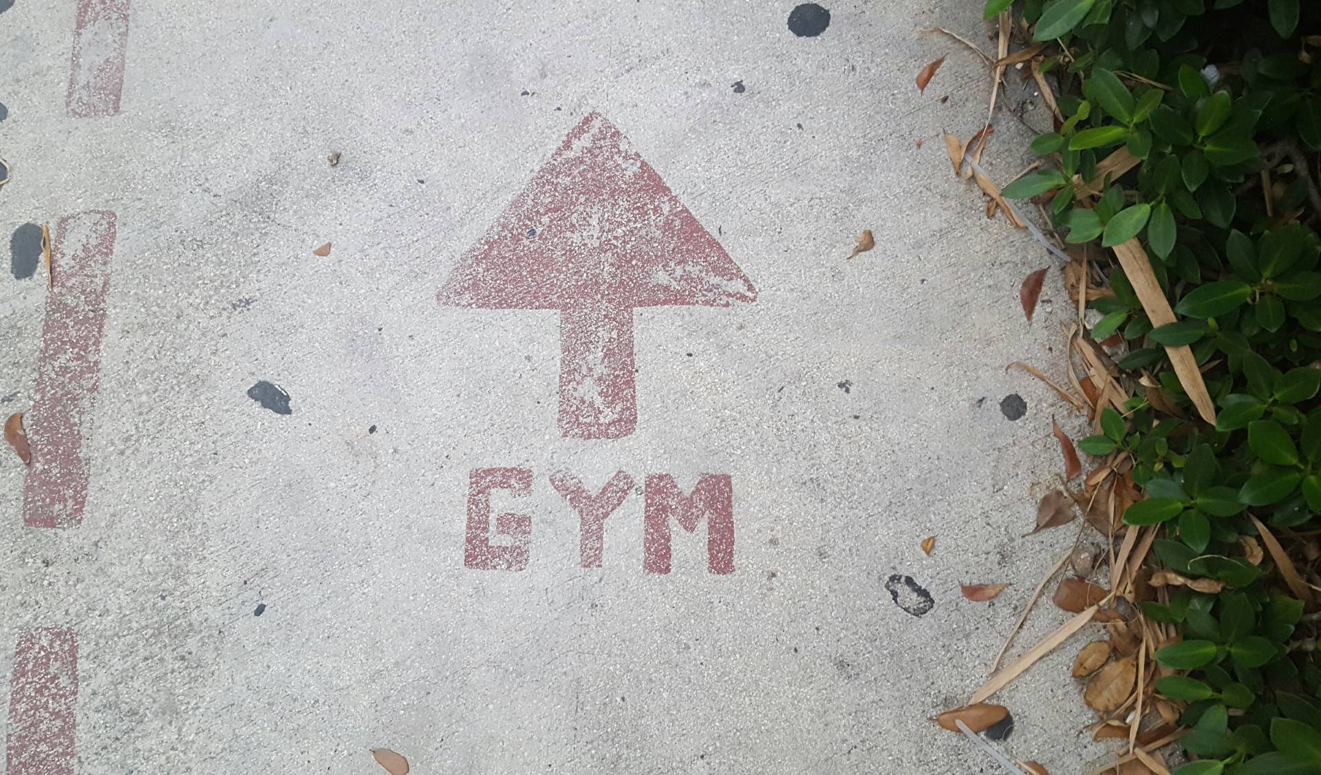 Entrenamiento SayanFitness